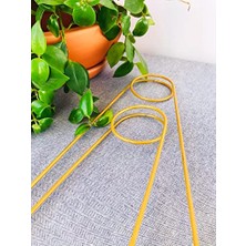 Trendexa Çubuğu Rengi Metal Kancalıiğne Sarmaşık 2 Adet 65 cm Altın Bitki Destek Aparatı