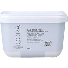 Trendexa Vario Blond Plus Mavi Toz Saç Açıcı, 450 G