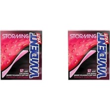 Trendexa Storming Çilek Aromalı Şekersiz-Tatlandırıcılı Şerit Sakız 33G (2 Adet)