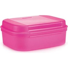 Trendexa F20 Pembe Saklama Kabı