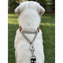 Trendexa Köpek Boyun Tasması Ayarlanabilir Orta, Büyük ve Çok Büyük Irk Deri Çift Zincir