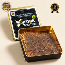 Şırnak Yayla Balı Petek Balı