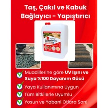 Taş ve Kabuk Sabitleyici - Yapıştırıcı | Su Bazlı Taşstop 5kg | Çakıl Dağılmasına Son!