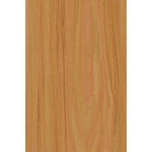 Trendexa Desenli Kendiliğinden Yapışkanlı Kaplama Folyosu 45 cm x 2 mt ELF026