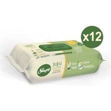 Trendexa Islak Havlu Mendil Doğal Organik Pamuklu 50 Yaprak Plastik Kapaklı 12X50 600 Yaprak