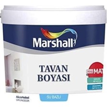 Trendexa Tavan Boyası 2,1 L (3,5 Kg)