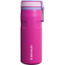 Trendexa 0.47 L Violet Blossom Twist Flip Termos