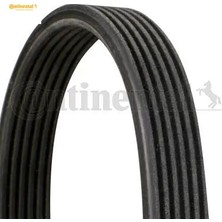 Contitech Kanallı Kayış Çift Kanallı Pas Ym Bora Golf Iv-Polo 68381D Contıtech 06A260849B/ 06A260849C/ 06A260849E
