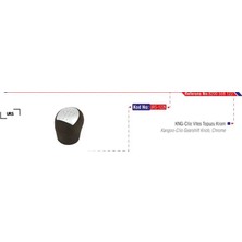 Vites Topuzu Krom Clıo Iı-Kng Iıı Urs 8200568122