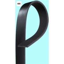 Kanallı Kayış Daf 45 91-00 F1000 F50 F600 F800 Leyland Daf Bando 0067690/ 0490269