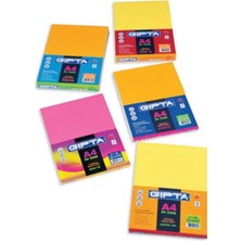 Gıpta Gipta 1530 Neon A4 Renkli Kagit 100LÜ Paket 5 Renk
