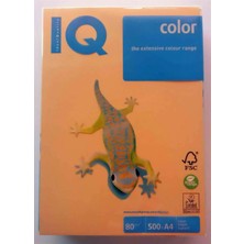 Iq NE1320-G022 Renkli Fotokopi Kagidi A4 80 gr Koyu Altin Sari 500LÜ Paket