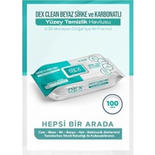 Trendexa Clean Yüzey Temizlik Havlusu, 100'LÜ