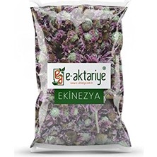 Trendexa Ekinezya 100 G