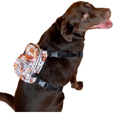 Trendexa Paws Small Çantalı Köpek Göğüs Tasması ve Köpek Sırt Çantası, 2’si 1 Arada