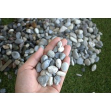 Trendexa Dere Çakıl ve Dolomit Taşı 25 Kg, 7-15 Mm, Teraryum ve Akvaryum Dekoru
