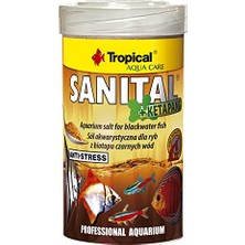 Trendexa 100 ml Akvaryum Tuzu, Sanital + Ketapang