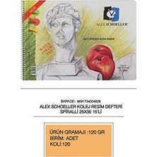 Trendexa Schoeller Şeffaf Resim Defteri 25X35 Sipralli 120 G 25 Syf, 0816