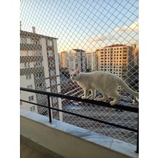 St. Morritz 1,75X4M Kedi Filesi Kedi Koruma Filesi Kuş Önleme Filesi Güvenlik Ağı (Aparat Dahil)
