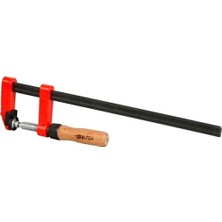 St. Morritz Mini Demir 5*300