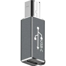 Pileli Store ZR338 ADS618 Type-C Yazıcı Çevirici Aparat