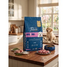 Flca Yavru Kuzulu Medium & Large Az Tahıllı Hipoalerjenik Açık Köpek Maması 1 kg