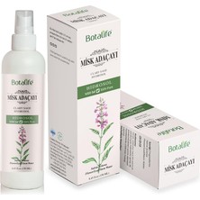 Trendexa Misk Adaçayı Hidrosolü 150 ml - Clary Sage Hydrosol, Clarysagehydrosol