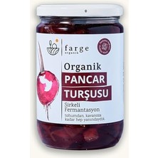 Trendexa Kırmızı Pancar Turşusu 600 G