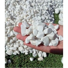 Trendexa 10 kg Beyaz Dolomit Çakıl Taşı, 1-2 cm