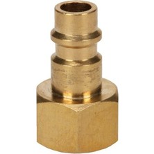 Trendexa Hortum Rekoru R3/8 6 mm (Dişi), Kompresör Aksesuarı, Pirinçten, Çeşitli Hava Basınçlı Bağlantılara Uygun - 4139645