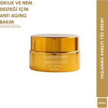Trendexa Yaşlanma Karşıtı Kolajen Krem, 50 ml | Sıkılaştırıcı ve Leke Karşıtı Yoğun Bakım | Somon Dna & Hyaluronik Asitli Zengin Formül