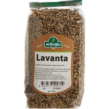 Trendexa Lavanta Bitki Kurusu 100 G