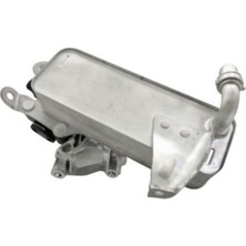 Febi Bmw Febı Sanzuman Yag Radyatoru 17218514515 F20 F20 Lcı F21 F21 Lcı F22 F22 Lcı F23 F23 Lcı F30 F30 Lcı F31 F34 Gt F35 F35 Lcı 4F32 F33 F36 F10 F11 G30 G31 G11 G12 X3 F25 X3 G01 X4 F26