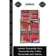 Carlburn Özel Üretim Kaliteli Dayanıklı Seri Lokma Tornavida Torx Tornavida Düz Yıldız Tornavida Seti Takımı