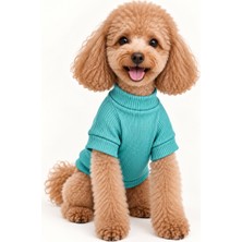 Patilemece Su Yeşili Balıkçı Yaka Kaşkorse Kedi Köpek Sweatshirt