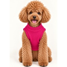 Patilemece Fuşya Kaşkorse Kolsuz Kedi Köpek Sweatshirt