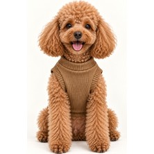 Patilemece Kahverengi Kaşkorse Kolsuz Kedi Köpek Sweatshirt