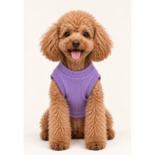 Patilemece Lila Kaşkorse Kolsuz Kedi Köpek Sweatshirt