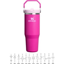 Stanley The Iceflow Flip Straw Pipetli Termos Bardak 0,89 Lt Kişiye Özel