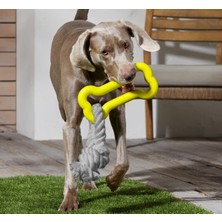 Tchibo Köpek Oyuncağı, Sarı