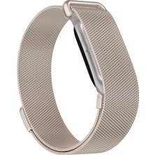 Maks Technology Google Fitbit Air Kordon Metal Hasır Tel Örgülü Mıknatıslı Maks Kayış