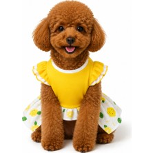 Patilemece Limonlu Penye Kedi Köpek Elbisesi