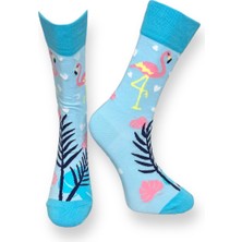 Me-Vo Unisex Flamingo Çorap