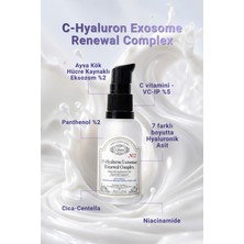 Rosece C-Hyaluron Kök Hücre Kaynaklı Eksozom Yenileyici Komplex / Anti-Aging Kırışıklık Karşıtı Serum / Dolgunlaştırıcı Sıkılaştırıcı