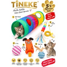 Tineke 5’li Kedi Oyuncak Seti – Oyun Tüneli Elastik Olta Ip Top Tüylü Top ve Peluş Oyuncak Turuncu