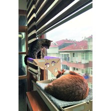 Happy Trend Home Cama Asılan Kedi Yatağı Vantuzlu