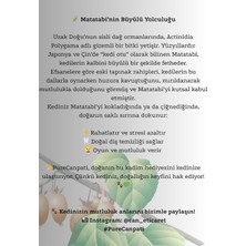 Happy Trend Doğal Matatabi Çubukları – Kediler Için Catnip Alternatifi, Stres Azaltıcı & Diş Temizleyici Çiğneme Oyuncağı (3'lü Paket)