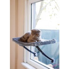 Happy Trend Model Cam ve Duvar Için Kedi Yatağı Vantuzlu