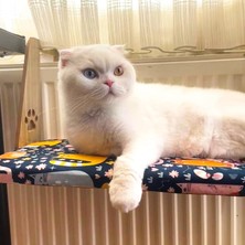 Happy Trend Always The Best Kalorifer Petek Radyatör Kedi Yatağı Geniş ve Geniş Köpek Yatağı, Askılı Kedi Yatağı (Kedi Desenli)