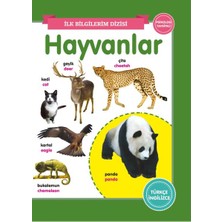 0-6 Yaş Yayınları Hayvanlar - Ilk Bilgilerim Dizisi